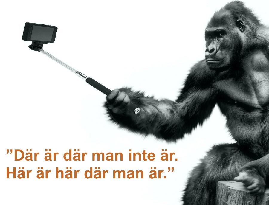 Hur Gör Man En Sms Grupp